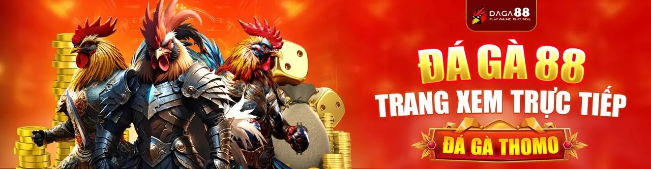 Sân đấu đá gà trực tuyến bj388 code đầy kịch tính