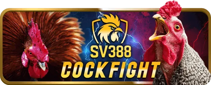 Minh họa quy trình cá cược thể thao bj388 code từng bước